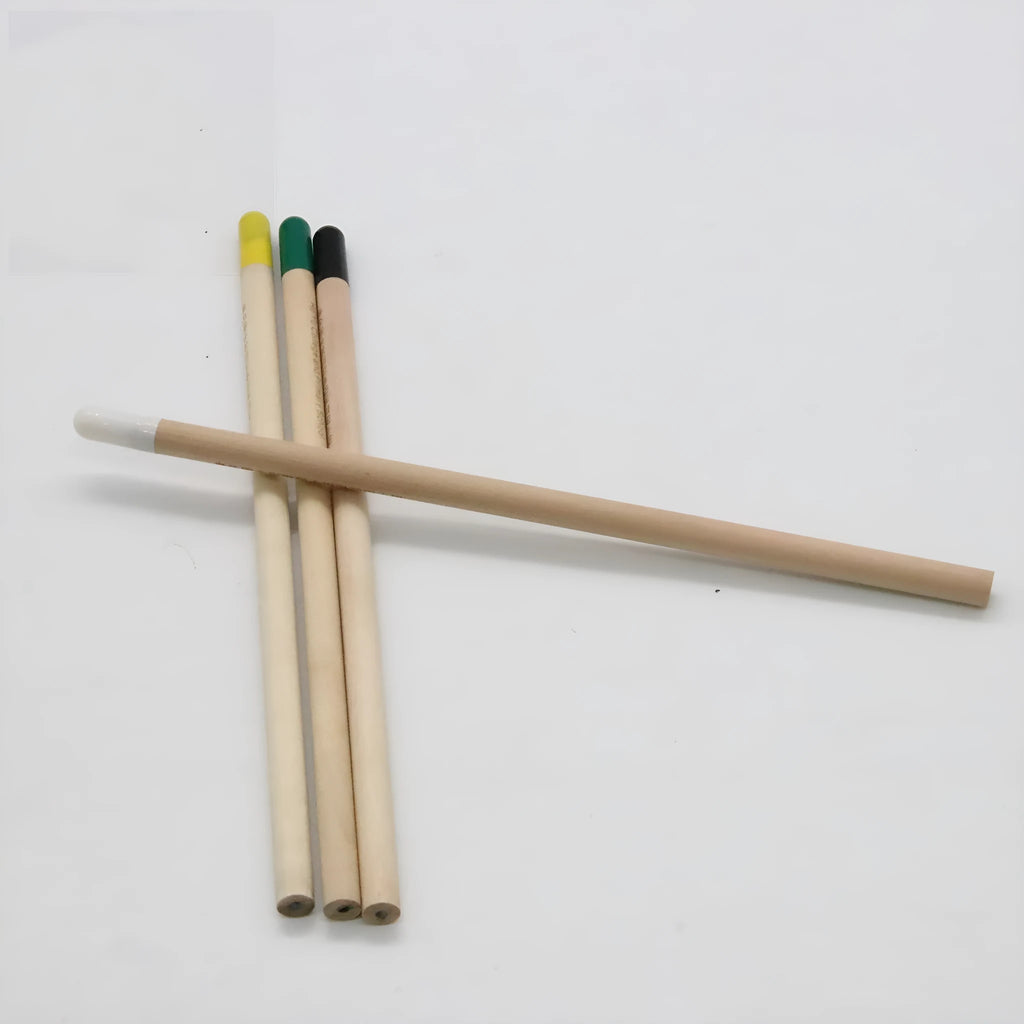 Seed pencil with coloured degradable capsule containing plantable seeds next to a small potted seedling.