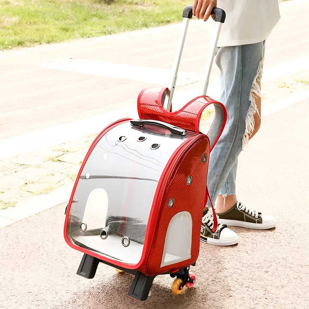 Transparent folding shoulder pet trolley bag for small dogs and cats in blue colour
