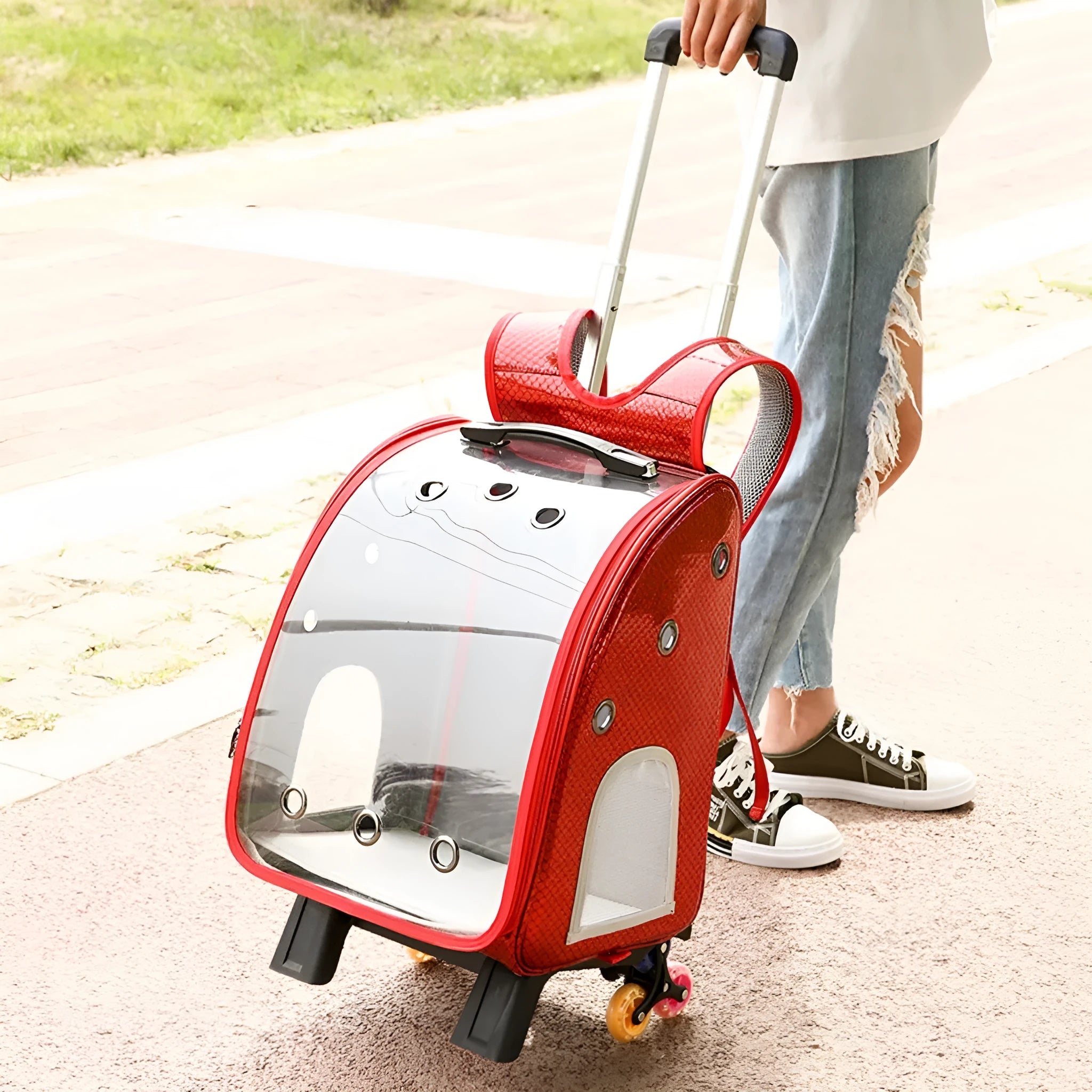 Transparent folding shoulder pet trolley bag for small dogs and cats in blue colour