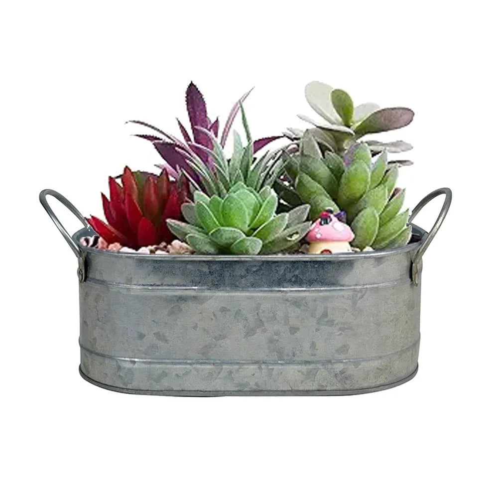 Iron desktop succulent flowerpot with drainage holes for small indoor plants