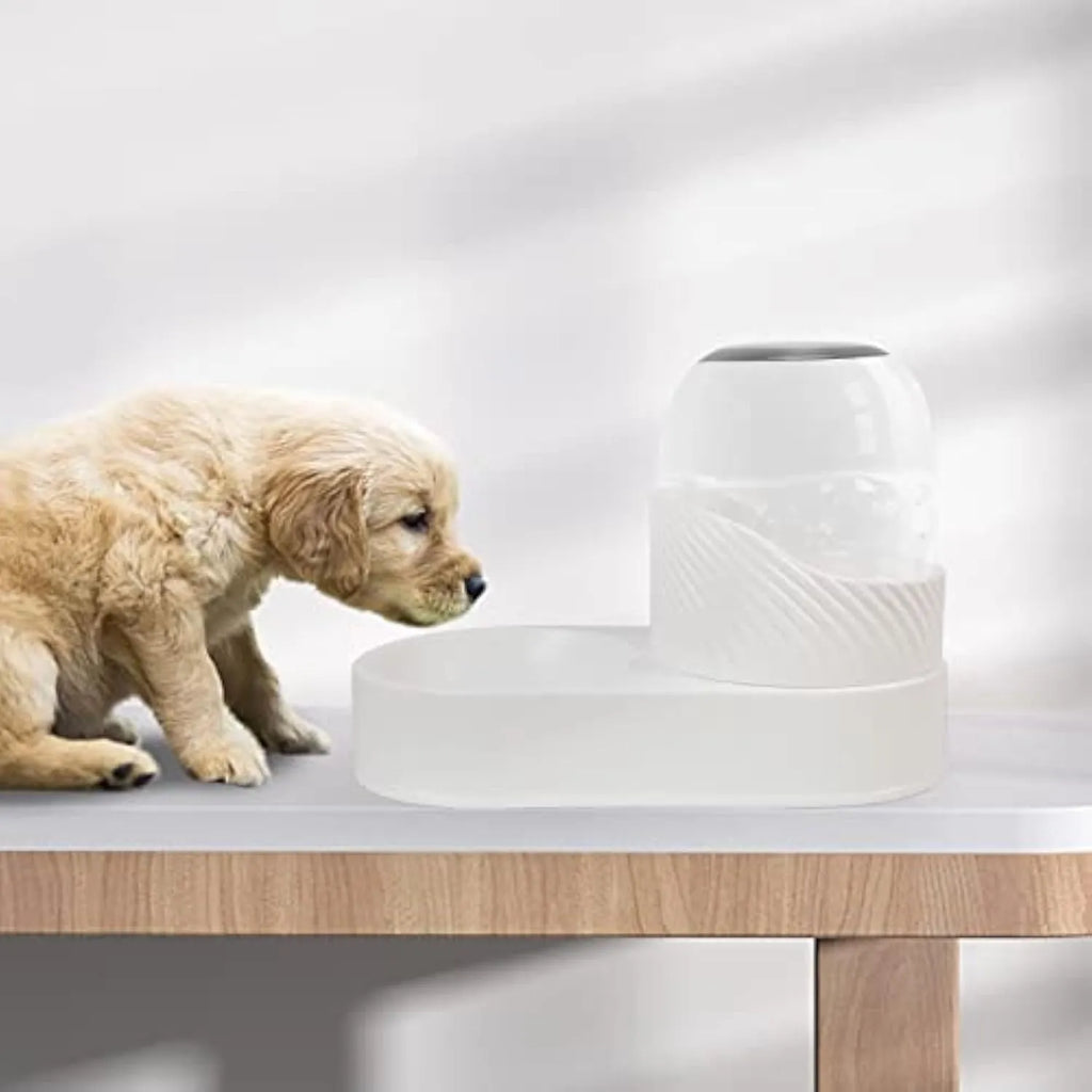 White automatic gravity cat feeder and water dispenser set on a floor.