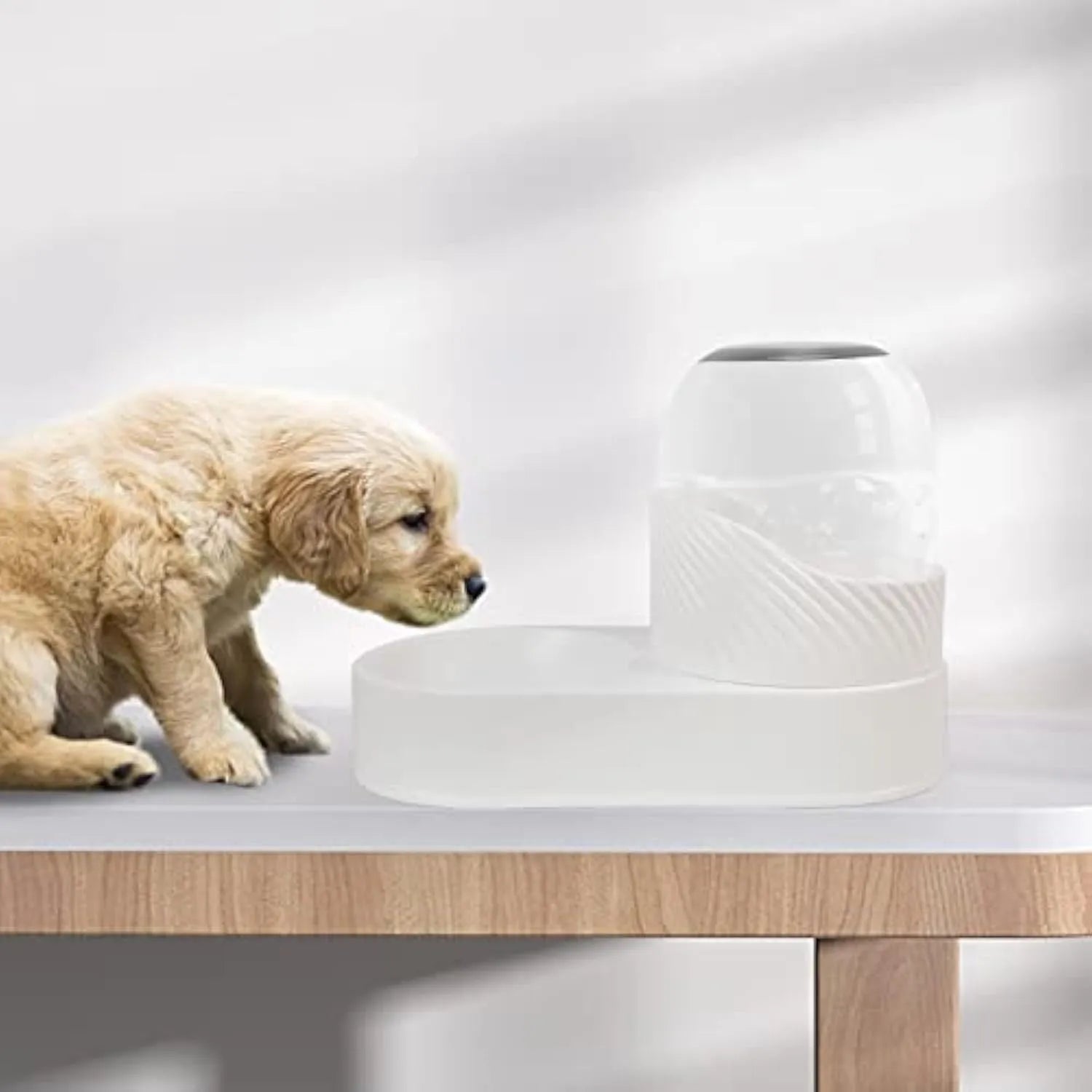 White automatic gravity cat feeder and water dispenser set on a floor.