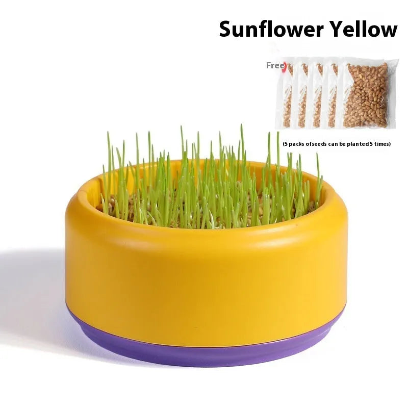 Hydroponic cat grass kit with cup and five seed packs, 200g, in blue, green, or yellow