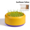 Hydroponic cat grass kit with cup and five seed packs, 200g, in blue, green, or yellow