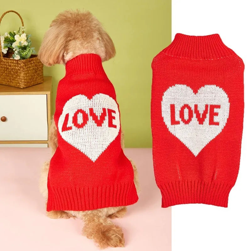 Small dog wearing an acrylic sweater with pink bow and love heart design