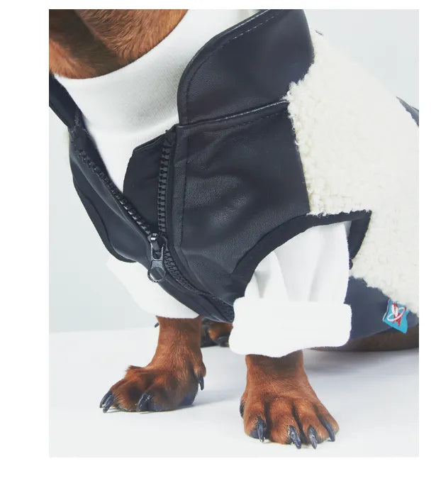 Dog or cat wearing a lambswool autumn winter coat with small leather pocket in black colour