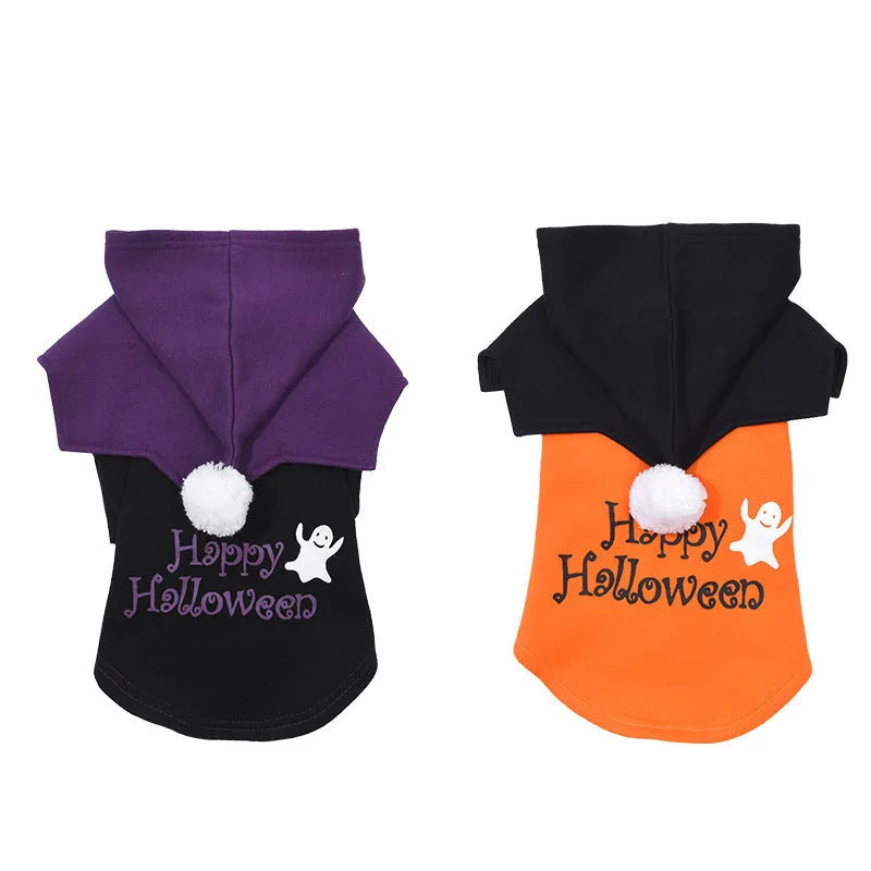 Halloween pumpkin dog costume with black and orange sweater and shawl on dog