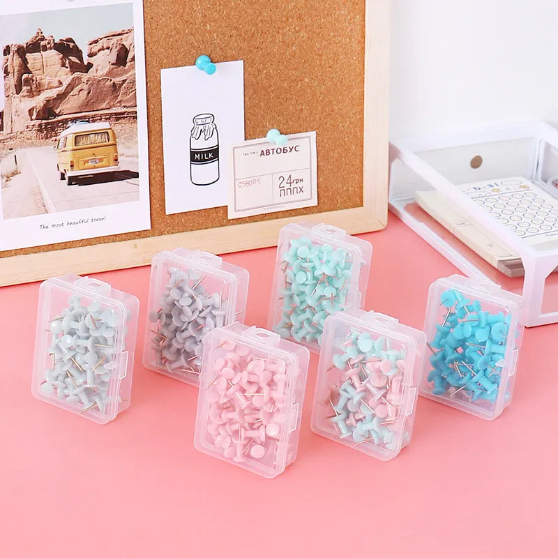Set of 50 Morandi green and grey decorative push pins for noticeboards.