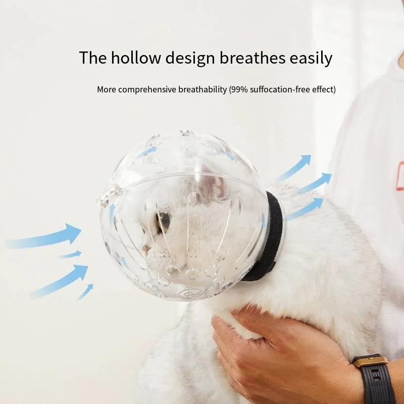 Transparent cat muzzle space hood with adjustable Velcro strap, sizes M L XL, for grooming and recovery.