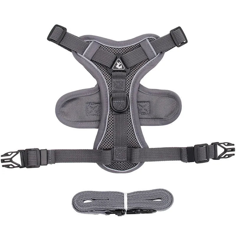 Anti-breakaway cat harness set with 1.5m flat rope lead and silver chain in green, grey, and rose red colours