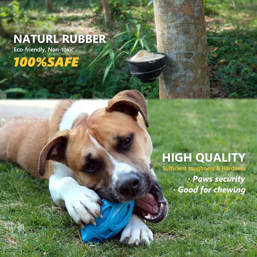 Blue natural rubber squeaky dog chew ball with grooved surface, for medium and large breeds.
