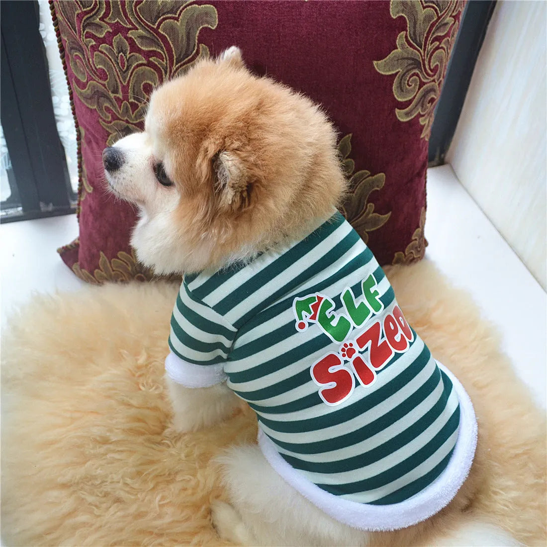 Christmas dog coat cotton terry with hairy border on small dog