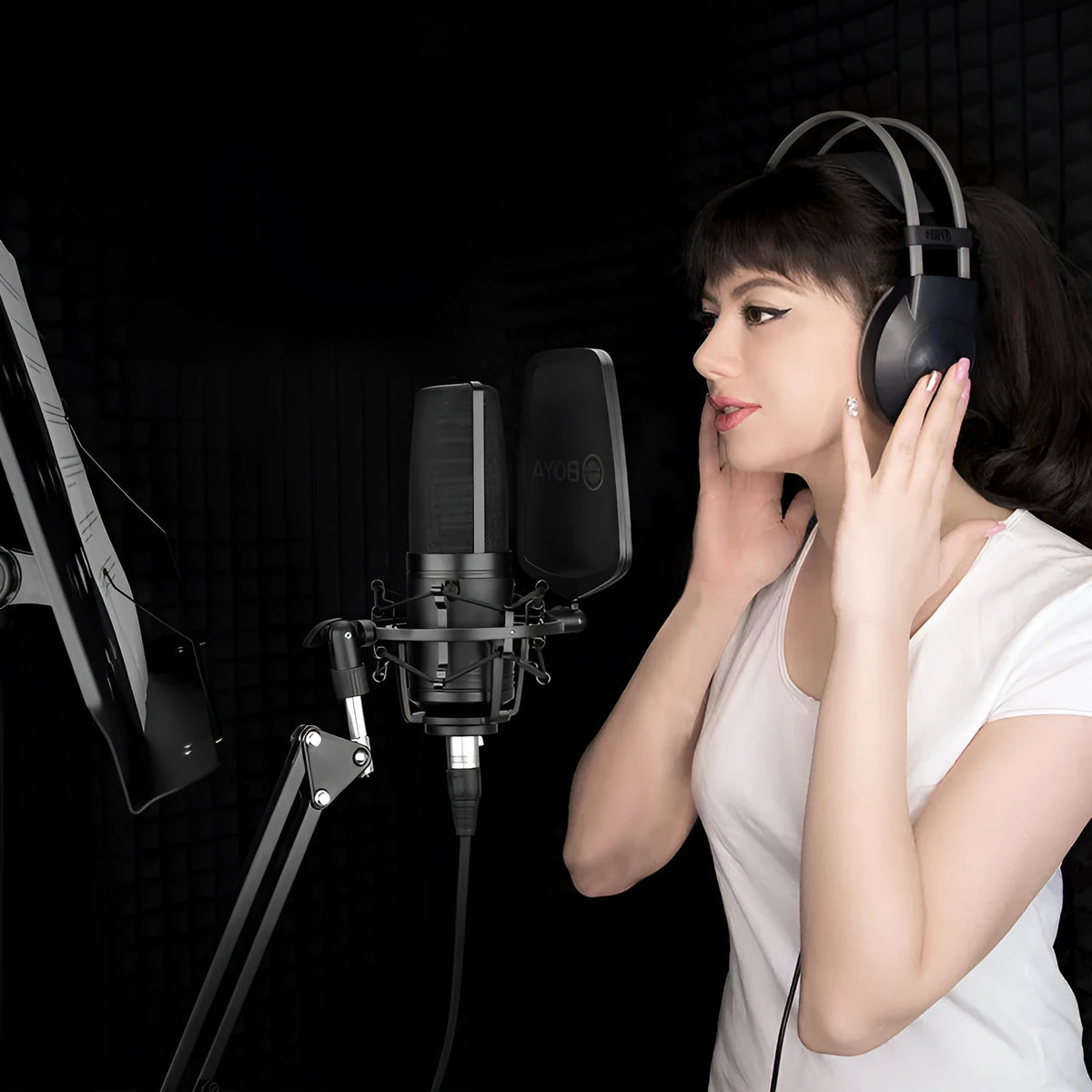 Black large diaphragm capacitive microphone with intelligent noise reduction for K song, computer, and mobile phone recording