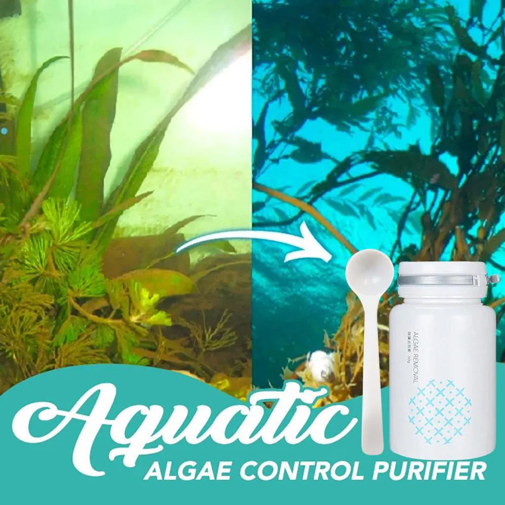 50g net weight algaecide powder for swimming pool and aquarium algae removal