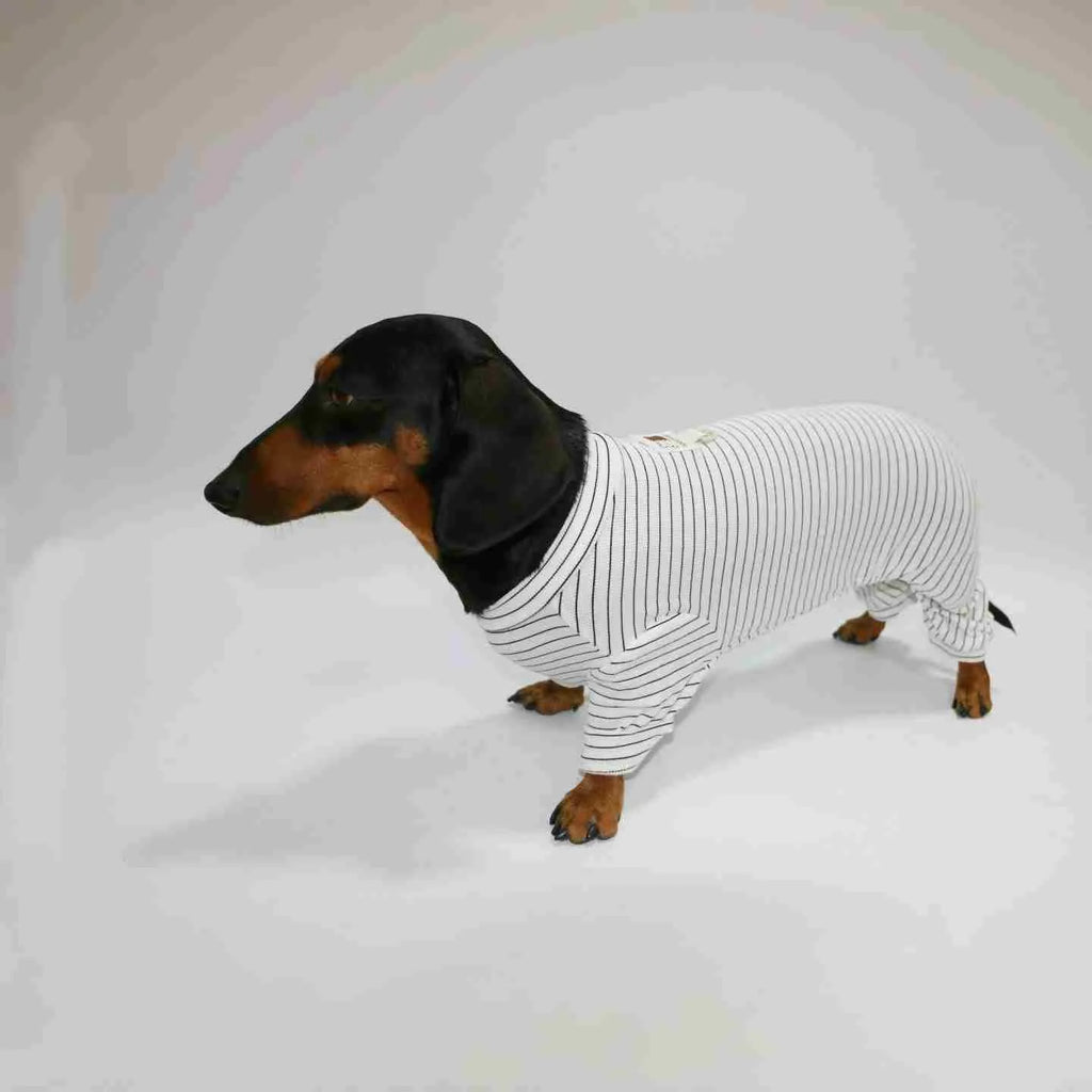 Thin striped four-legged pet clothes in white with black stripes or navy blue, sizes S to XXL