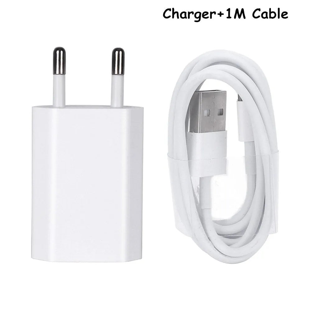 5V2A USB travel charger and cable for iPhone and iPad models