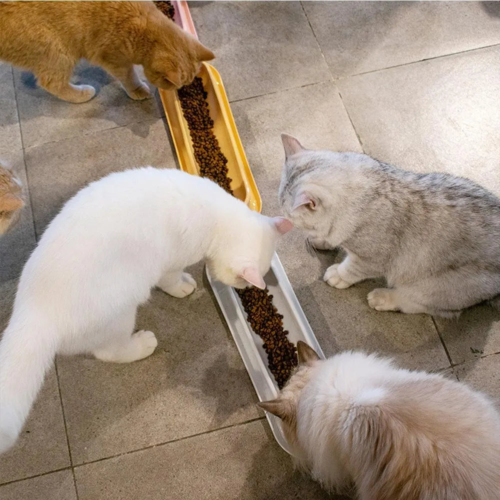 Green leakproof pet feeder bowls with non-slip base for dog and cat feeding