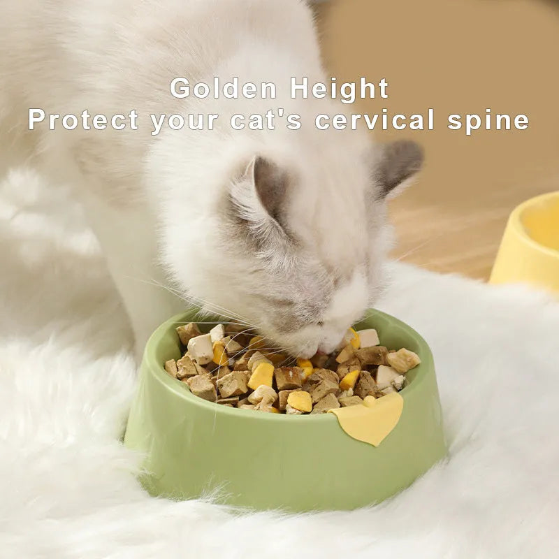 Green plastic double pet bowl for food and water with a flower-shaped, anti-tipping design.
