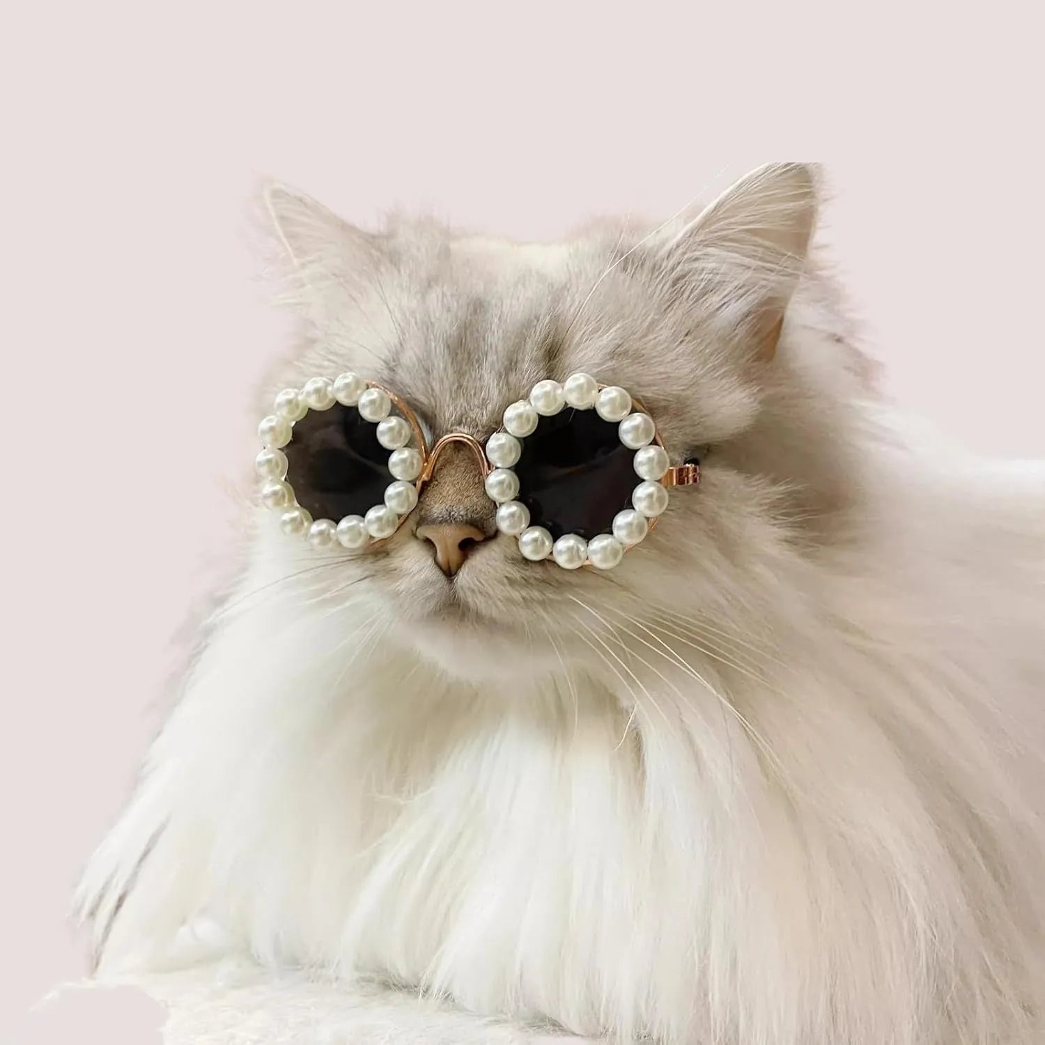 Pearl-rimmed round sunglasses for cats and dogs in multiple colours and sizes