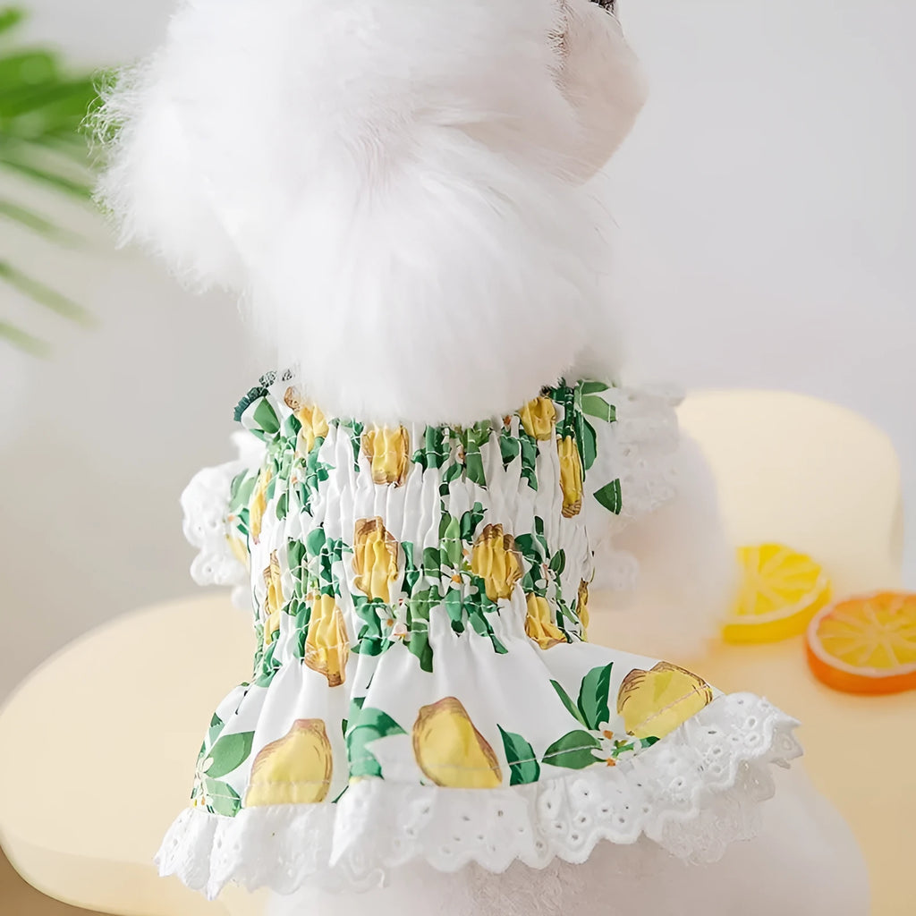 Rock yellow lemon polyester dog skirt dress with thin straps and princess style design