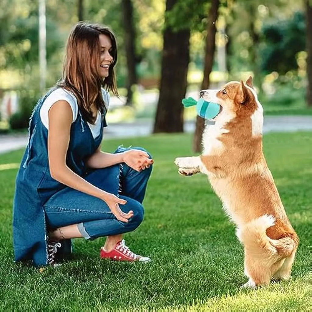 Blue durable rubber treat dispensing dog toy ball with tumbler design for medium large breeds