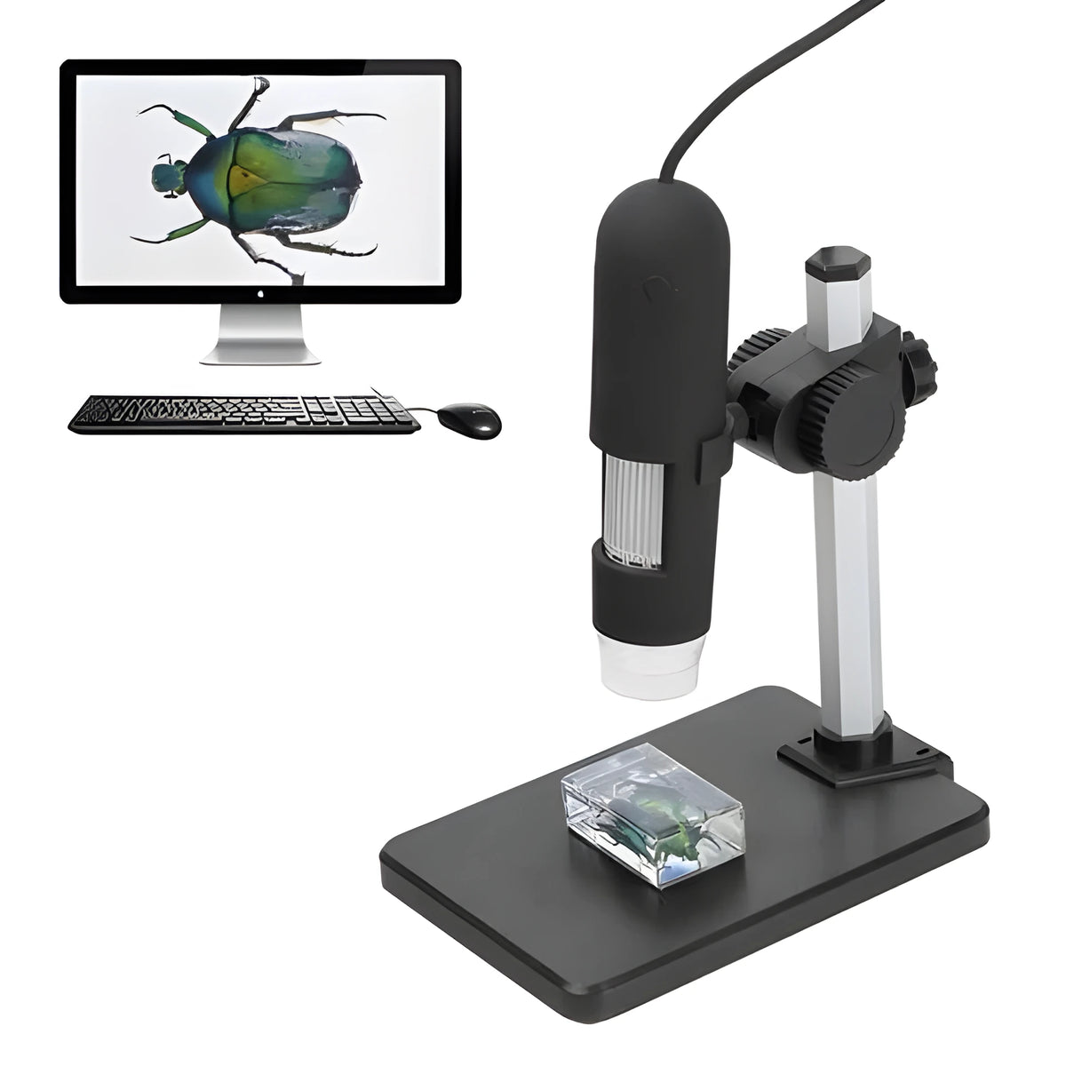 USB microscope camera with 8 LED lights and adjustable illuminator, 1000X magnification, black body