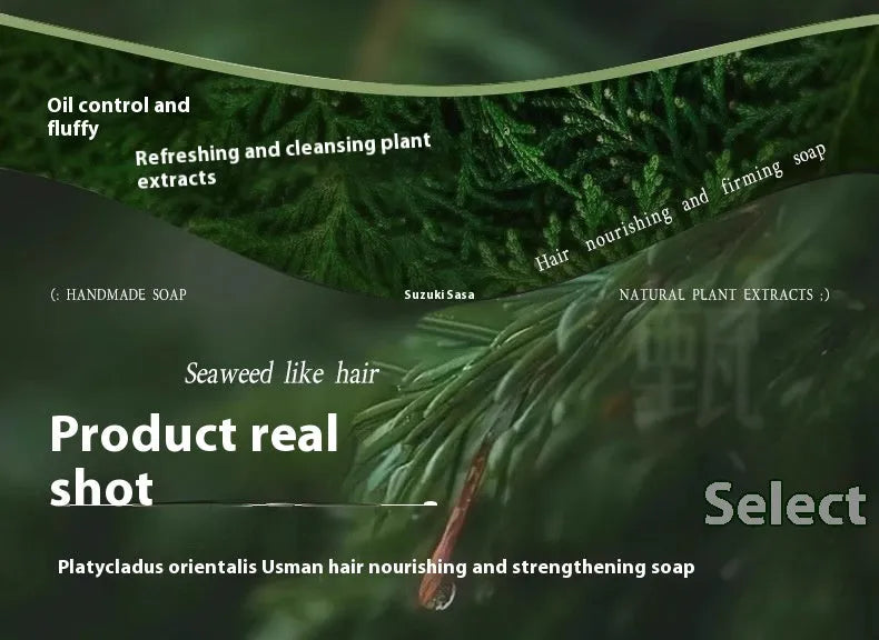 A single 120g round bar of handmade shampoo soap containing Chinese Arborvitae Twig and Polygonum Multiflorum.