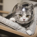 Cat head cover and four booties set for anti-bite, anti-scratch and anti-licking grooming in small and large sizes