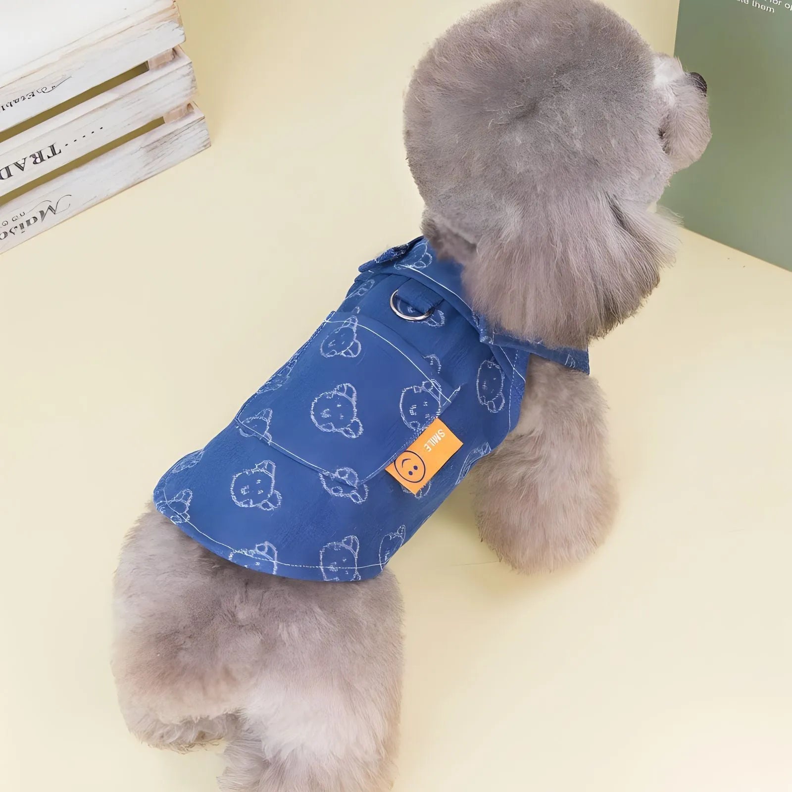Small dog wearing denim princess dress with bracket skirt design in blue denim fabric