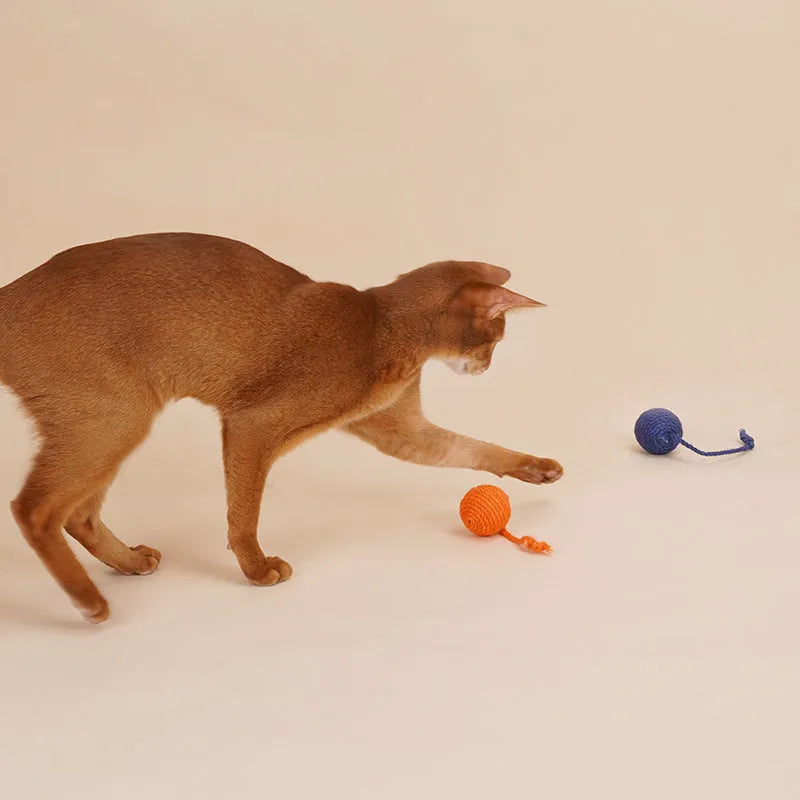 Blue, green, and multi-colour cat toy set with a teaser stick, catnip balls, and a wand.
