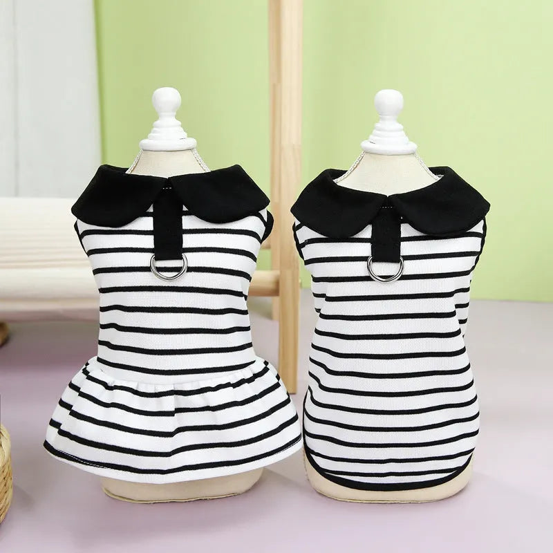 Pet wearing striped cotton t-shirt and matching skirt casual summer outfit