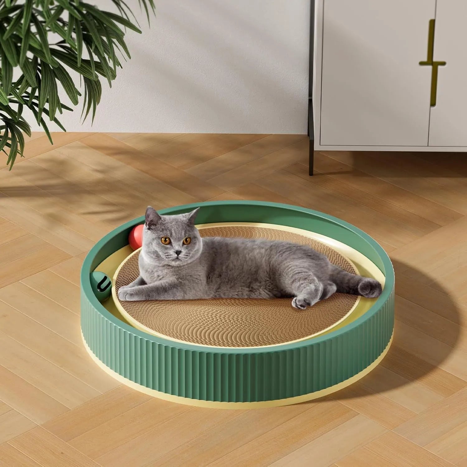 Large green circular cat scratching board with ball track and plush ball toy in the centre.