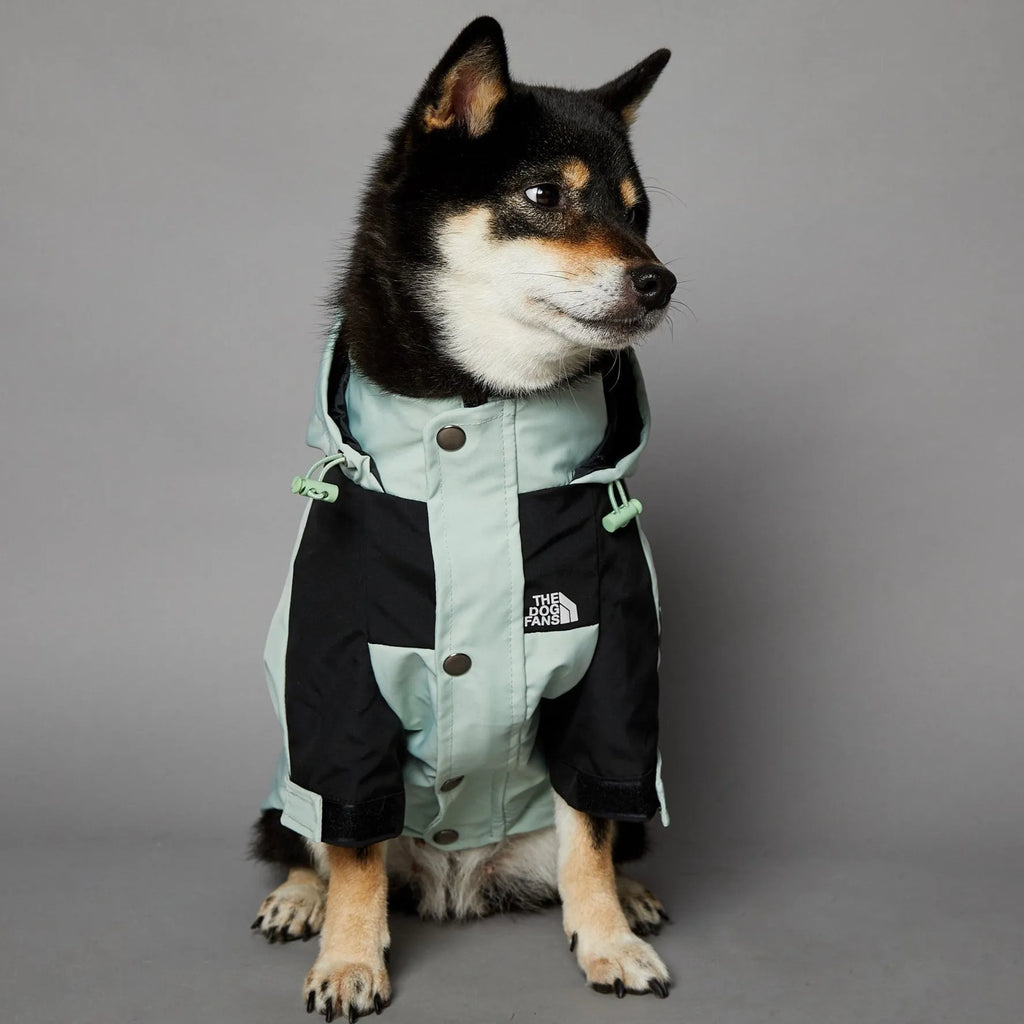 Light green windproof rainproof large dog raincoat in polyester with adjustable fit for sizes S to 5XL