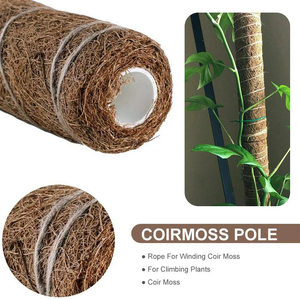 Green radish coconut palm stick totem pole made of natural coconut moss fibre with wooden support for indoor climbing plants