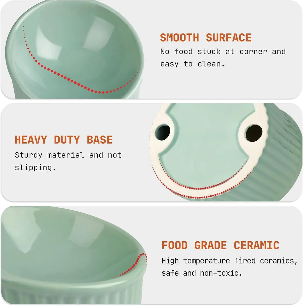 Ceramic elevated cat bowl in green with tilted round shape and raised feeding height
