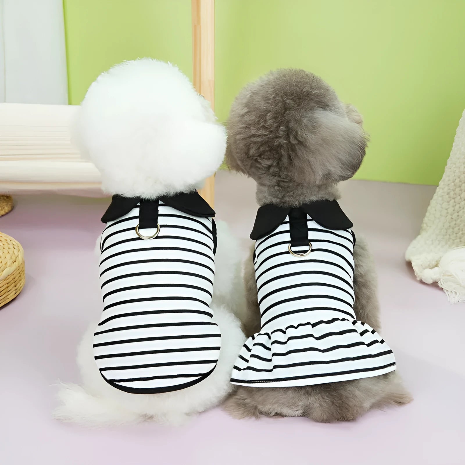 Pet wearing striped cotton t-shirt and matching skirt casual summer outfit