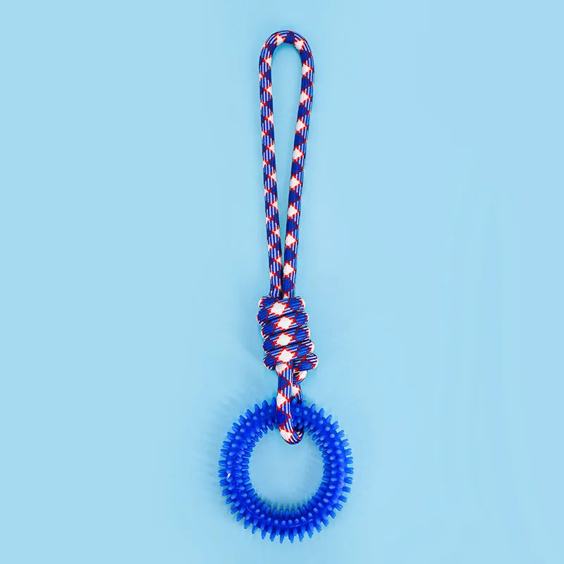 Blue braided rope dog toy with knots for tugging and chewing by a medium-sized dog