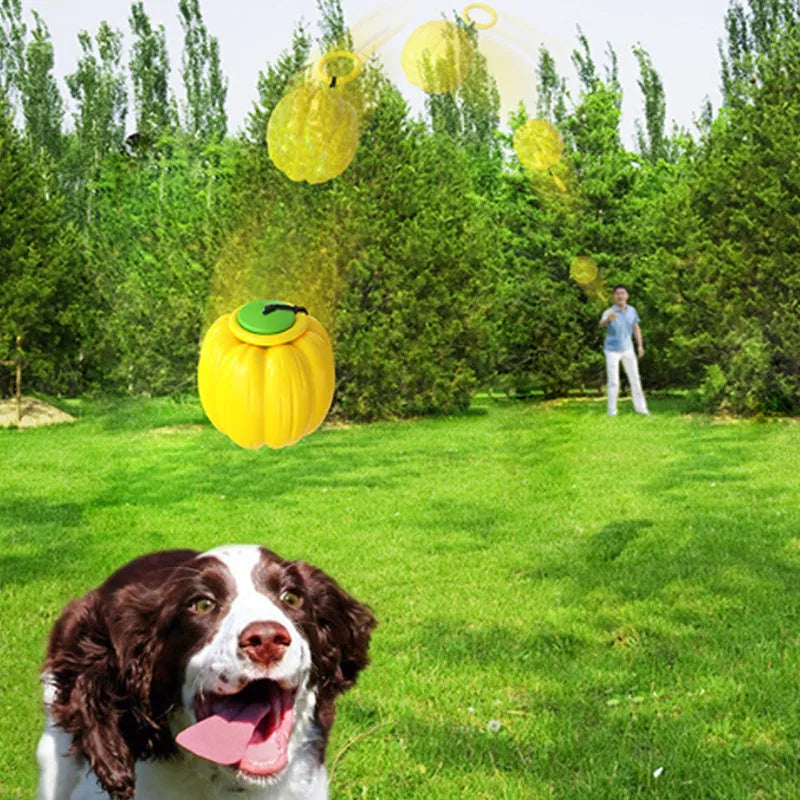 Orange pumpkin-shaped dog chew toy with squeaker for puppies and small dogs