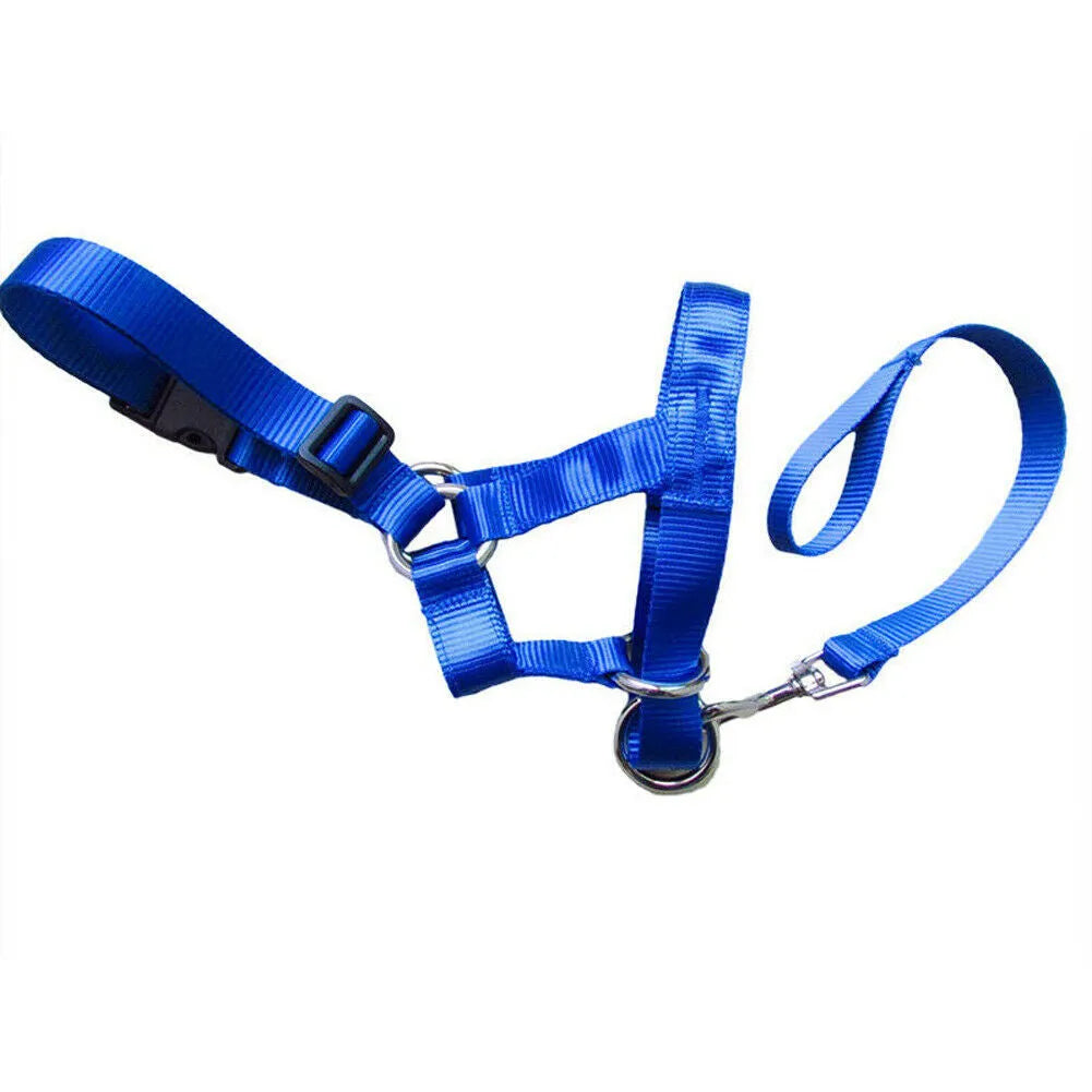 Adjustable nylon dog muzzle cover in black with cloth body and strap