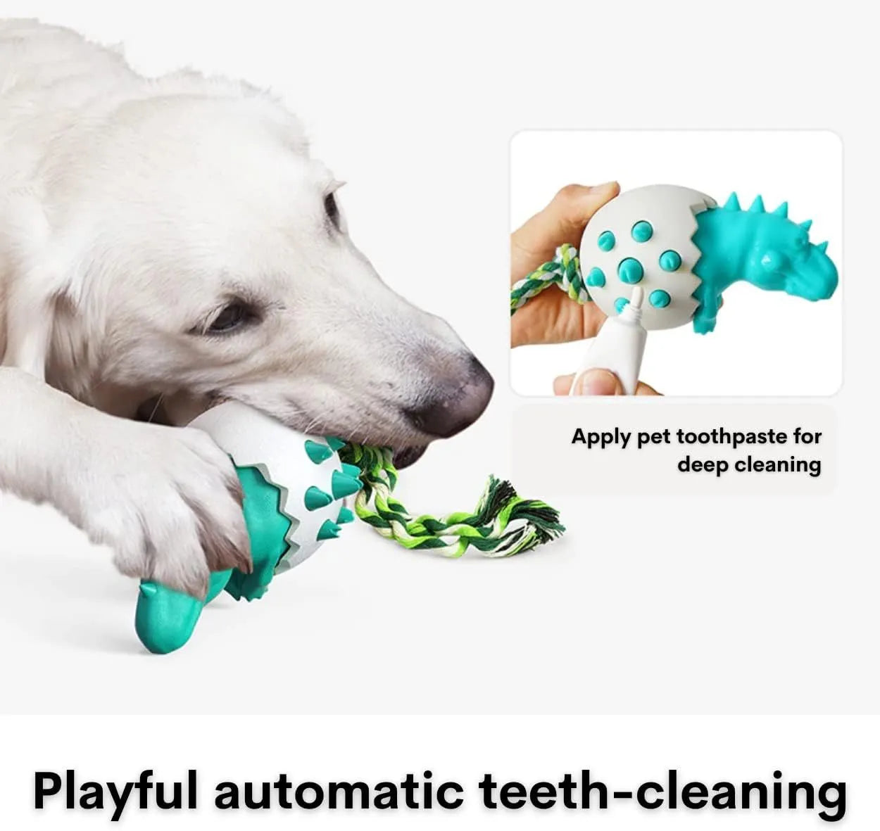 Blue dinosaur-shaped dog chew toy with textured surface and integrated rope.