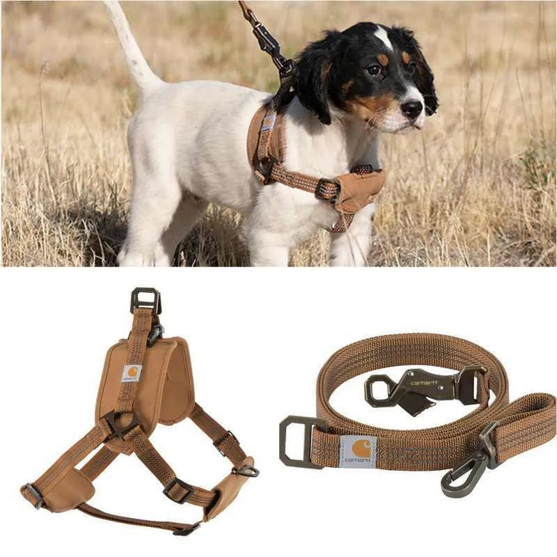 Dog wearing adjustable chest strap training belt with reflective hand holding rope attached