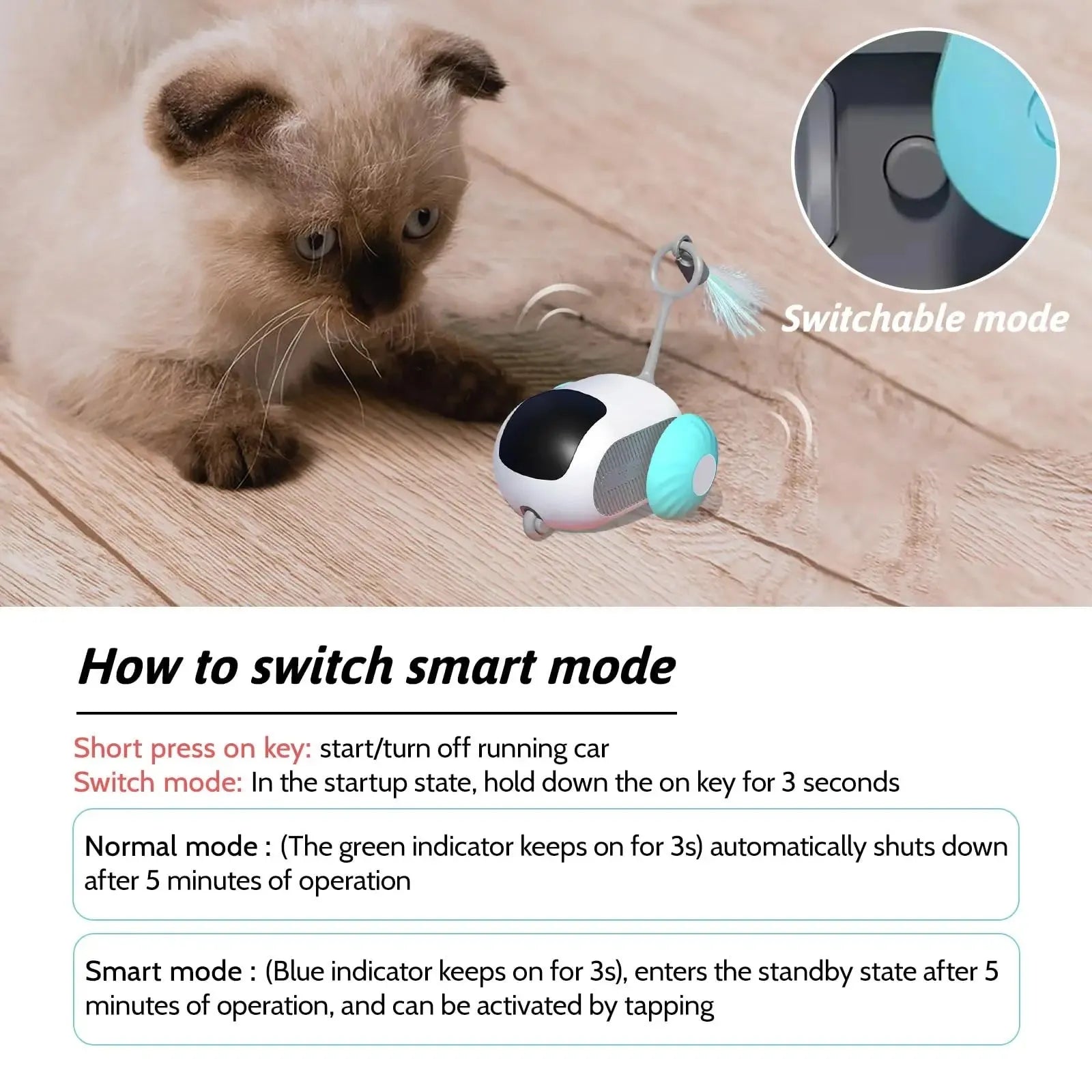 Blue and orange smart cat toy cars with remote control on home floor