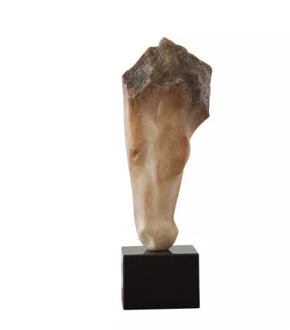 Abstract carved horse head sculpture in French retro style, a desktop ornament measuring 50cm tall.