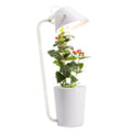 White plastic desktop hydroponic plant growth machine for soilless cultivation.