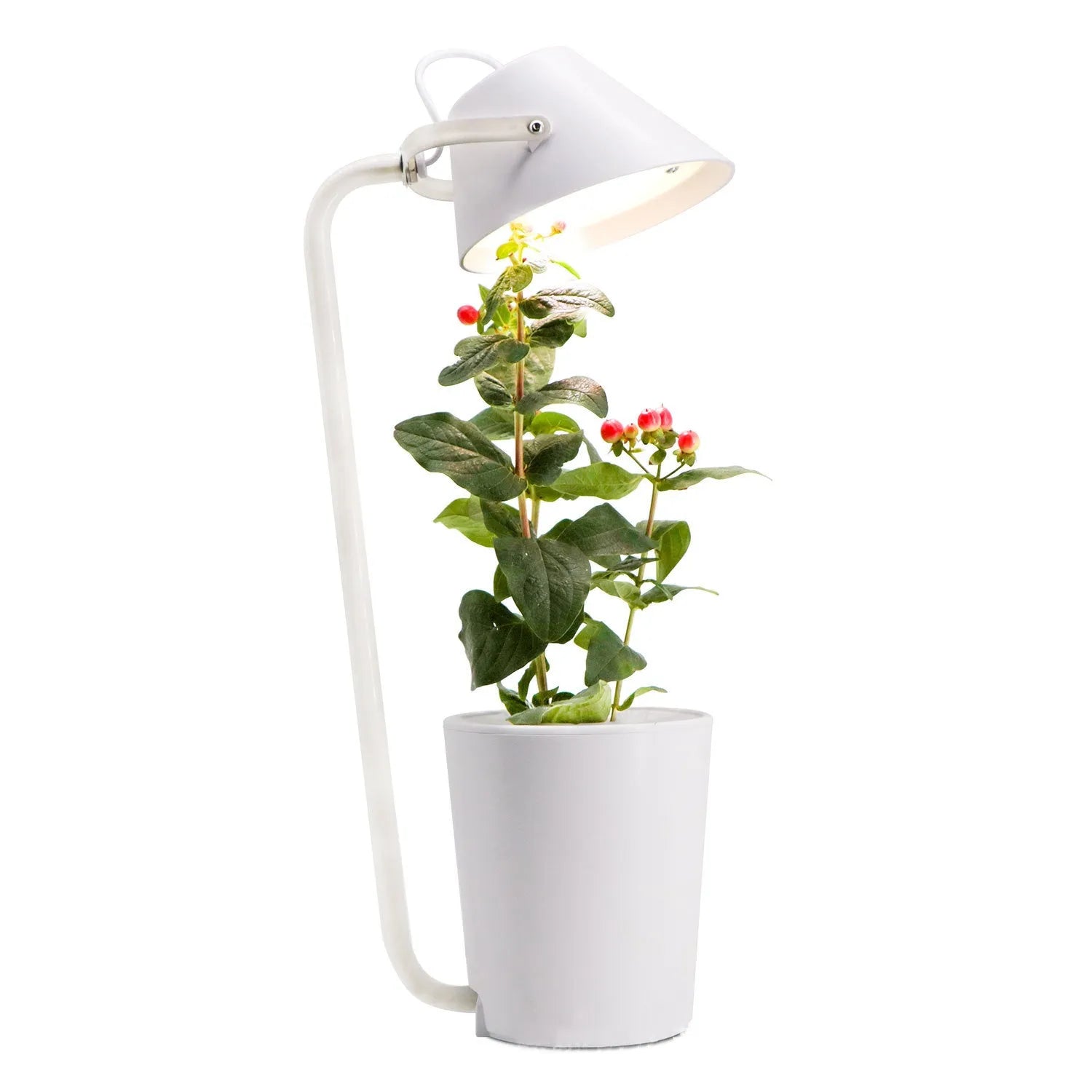 White plastic desktop hydroponic plant growth machine for soilless cultivation.