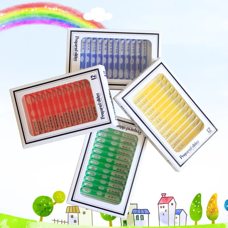 Children's plastic microscope slide set with colour-coded boxes containing plant and animal specimens
