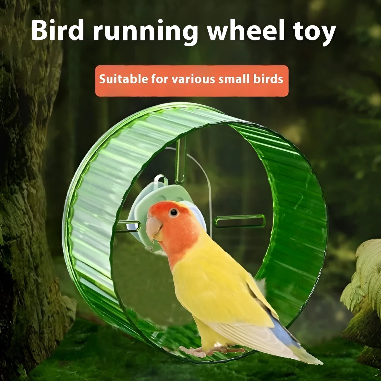 Plastic parrot exercise wheel toy in transparent colour showing rotating mechanism for bird activity