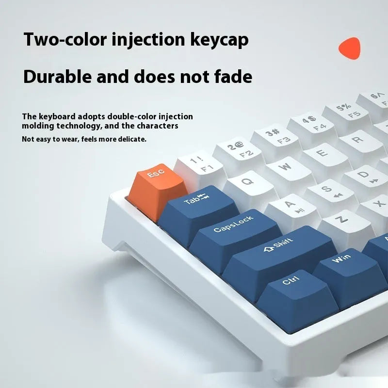 61-key bluish-black and white mechanical keyboard with hot-swap switches on desk