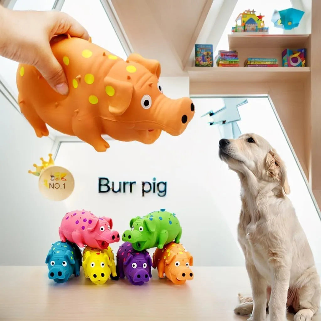 Latex pig-shaped dog chew toy with squeaker in assorted colours for aggressive chewers