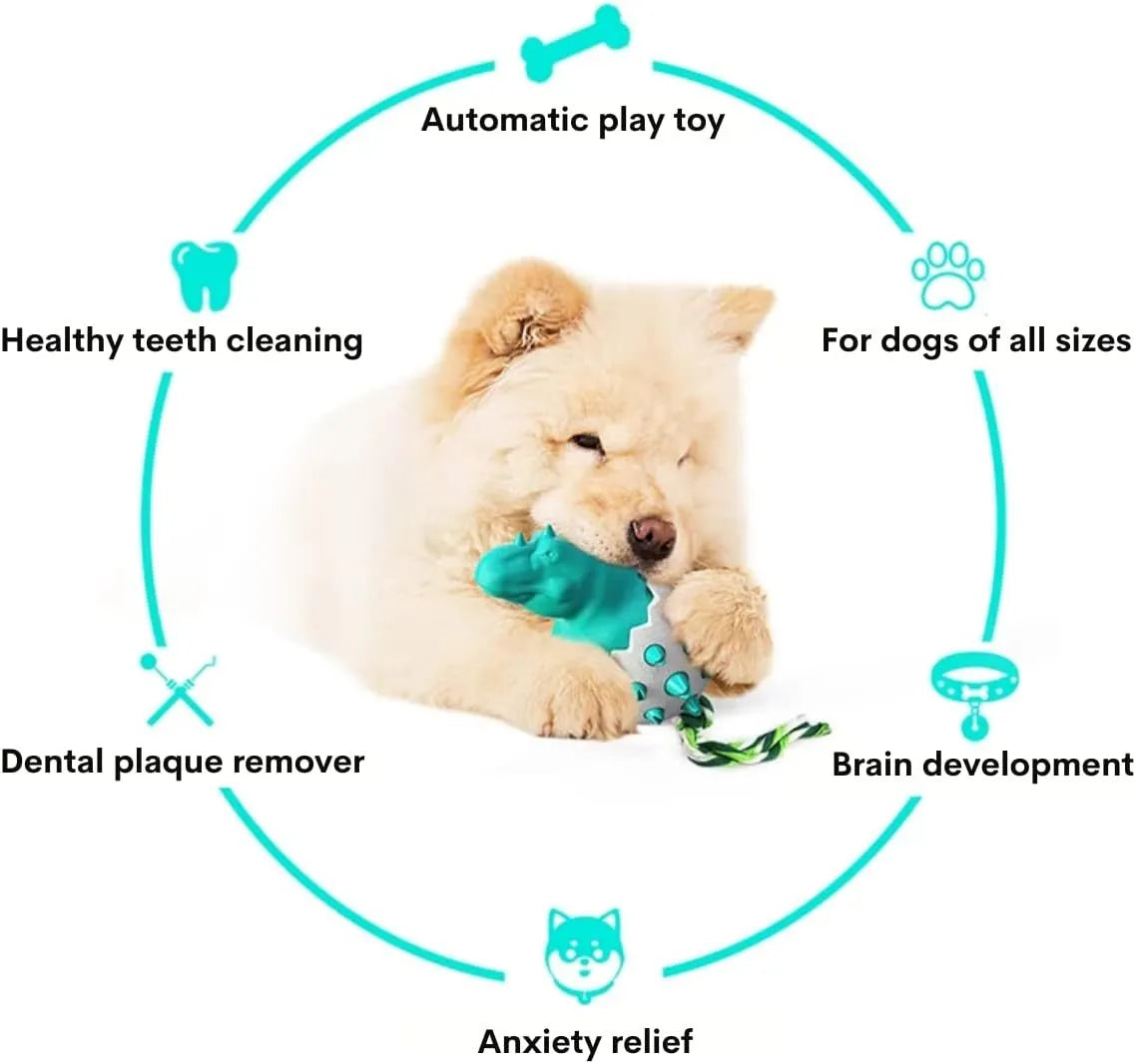 Blue dinosaur-shaped dog chew toy with textured surface and integrated rope.